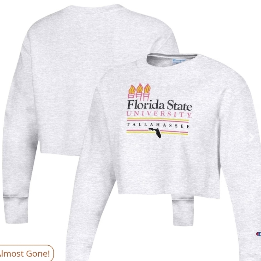 Champion Heathered Gray Florida State Seminoles Cropped Sweatshirt L Like New